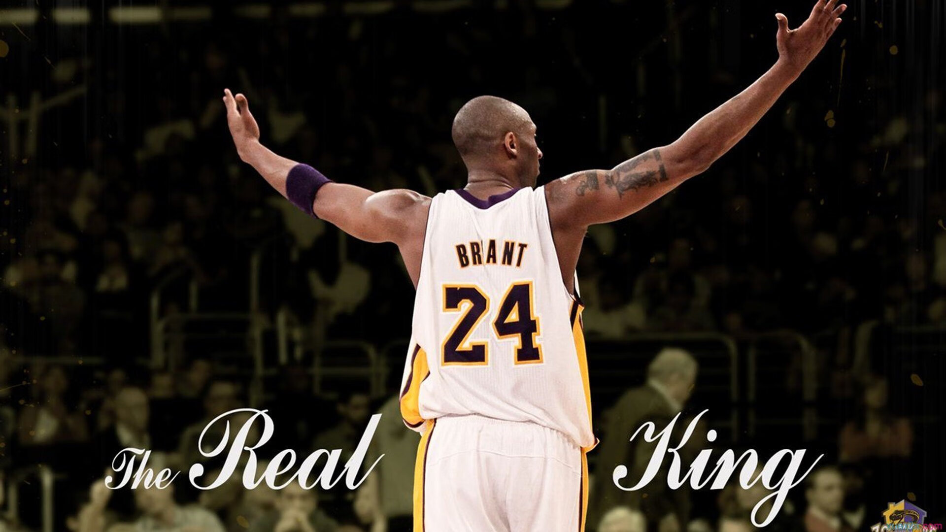 九游娱乐(jiuyou)官网-鹈鹕球迷自制应援短片获官方转发，鹈鹕球衣赞助商